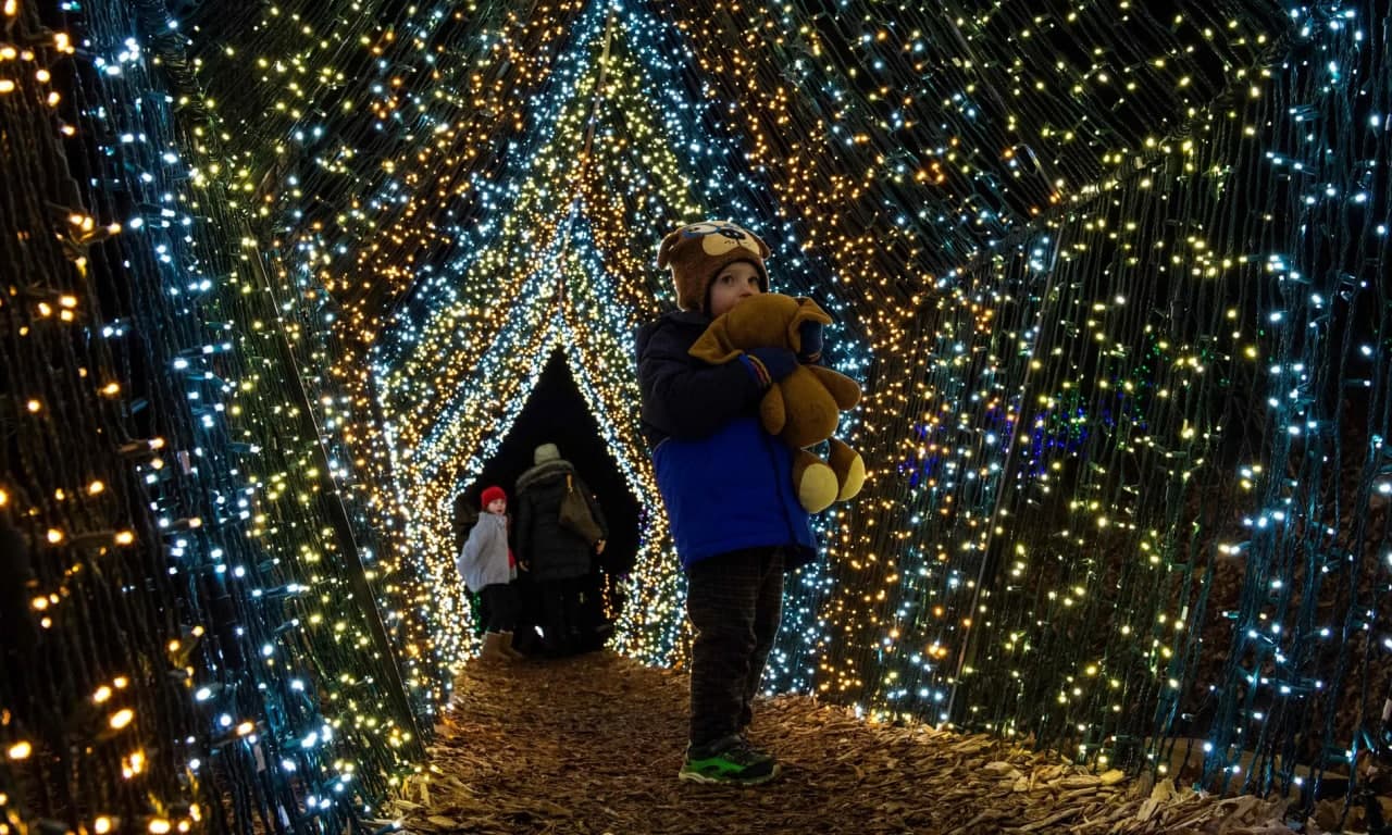 Стокбриждаги (АҚШ) Winterlights’да ёритилган туннелдан завқланаётган бола.
