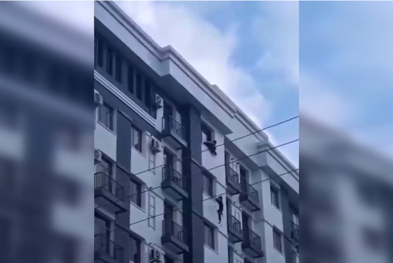Самарқандда 19 ёшли қиз ўз жонига қасд қилди