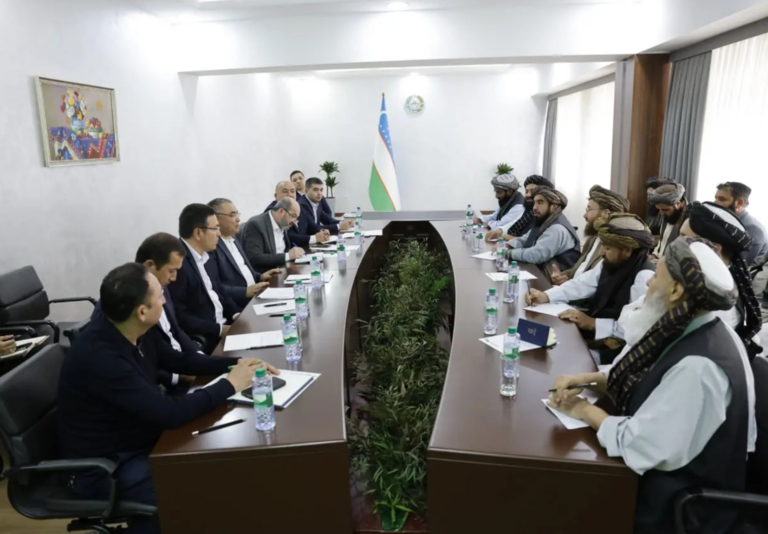 Uzbekistan, Afghanistan propose joint agricultural projects to enhance productivity and income 